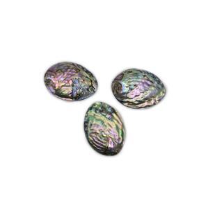 Abalone Shell Oval Approx 20x40 to 30x50mm, Pack of 3