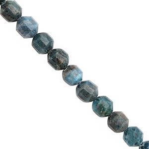 300cts Neon Apatite Faceted Drum Approx 9x10mm Beads Necklace with Lobster Lock & Extension -18