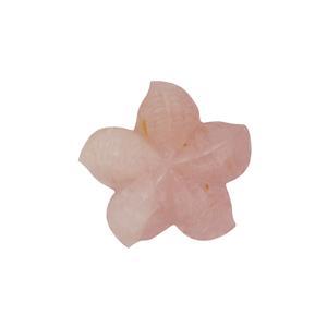 60cts Rose Quartz Top Drill Carving Star Fish Approx 35mm Loose Stone