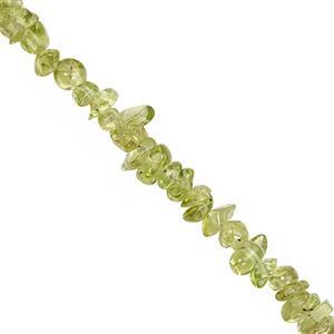 310cts Peridot Bead Nugget Approx 2.5x1.5 to 8x3mm, 100inch Strand